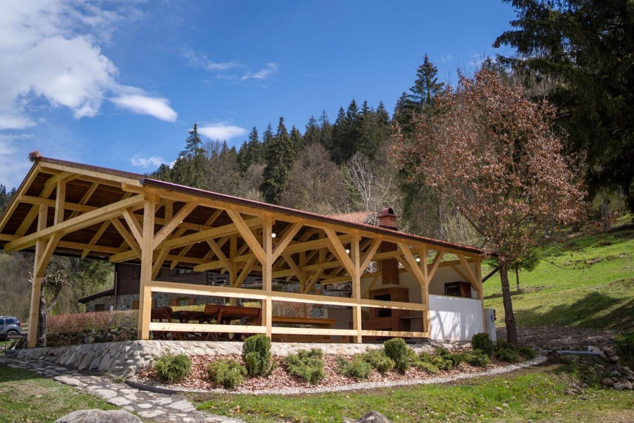 3A Guest House Sicasău Zewnętrze zdjęcie