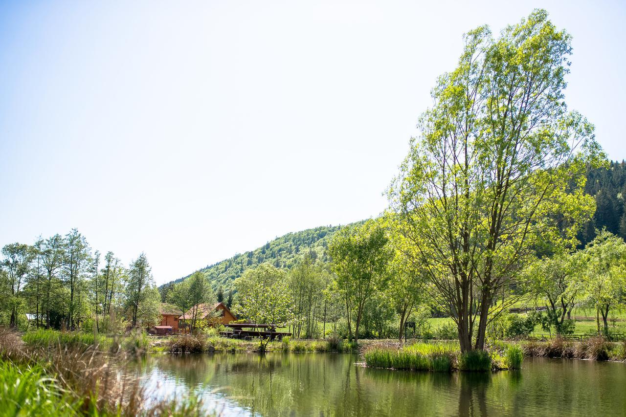 3A Guest House Sicasău Zewnętrze zdjęcie