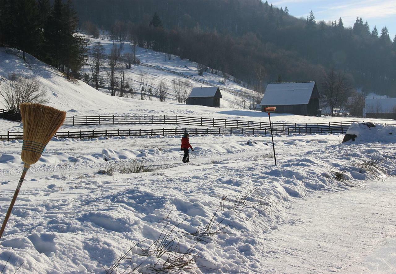 3A Guest House Sicasău Zewnętrze zdjęcie