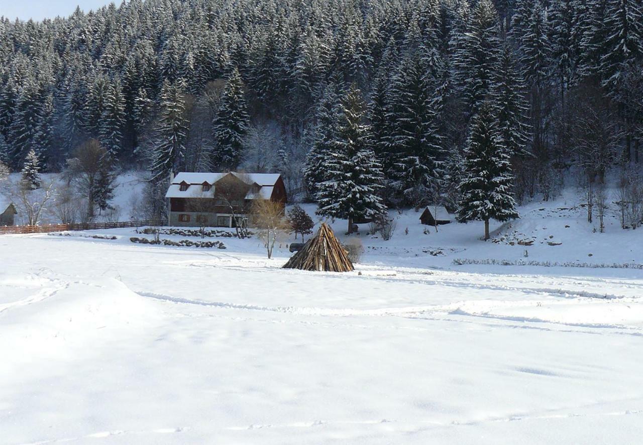 3A Guest House Sicasău Zewnętrze zdjęcie